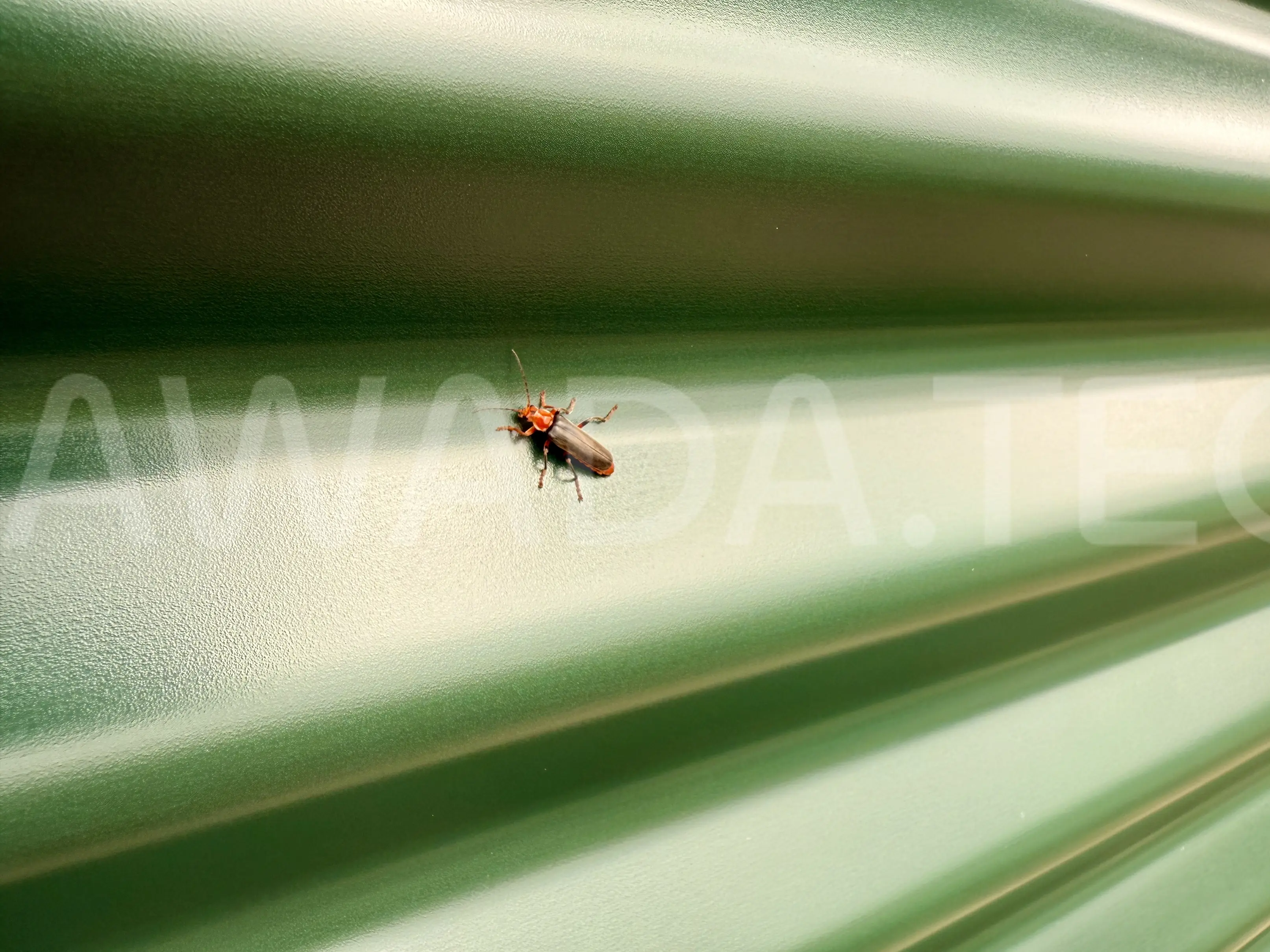 Zbiornik na gnojowicę - panel GRANITE&reg; HDX. W zbiornikach na gnojówkę, gnojowicę, poferment cała konstrukcja wykonana jest z paneli GRANITE&reg; HDX