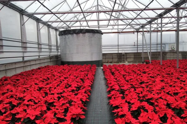 Zbiornik 63 m³ - STANDARD - 63 m3 - woj. śląskie