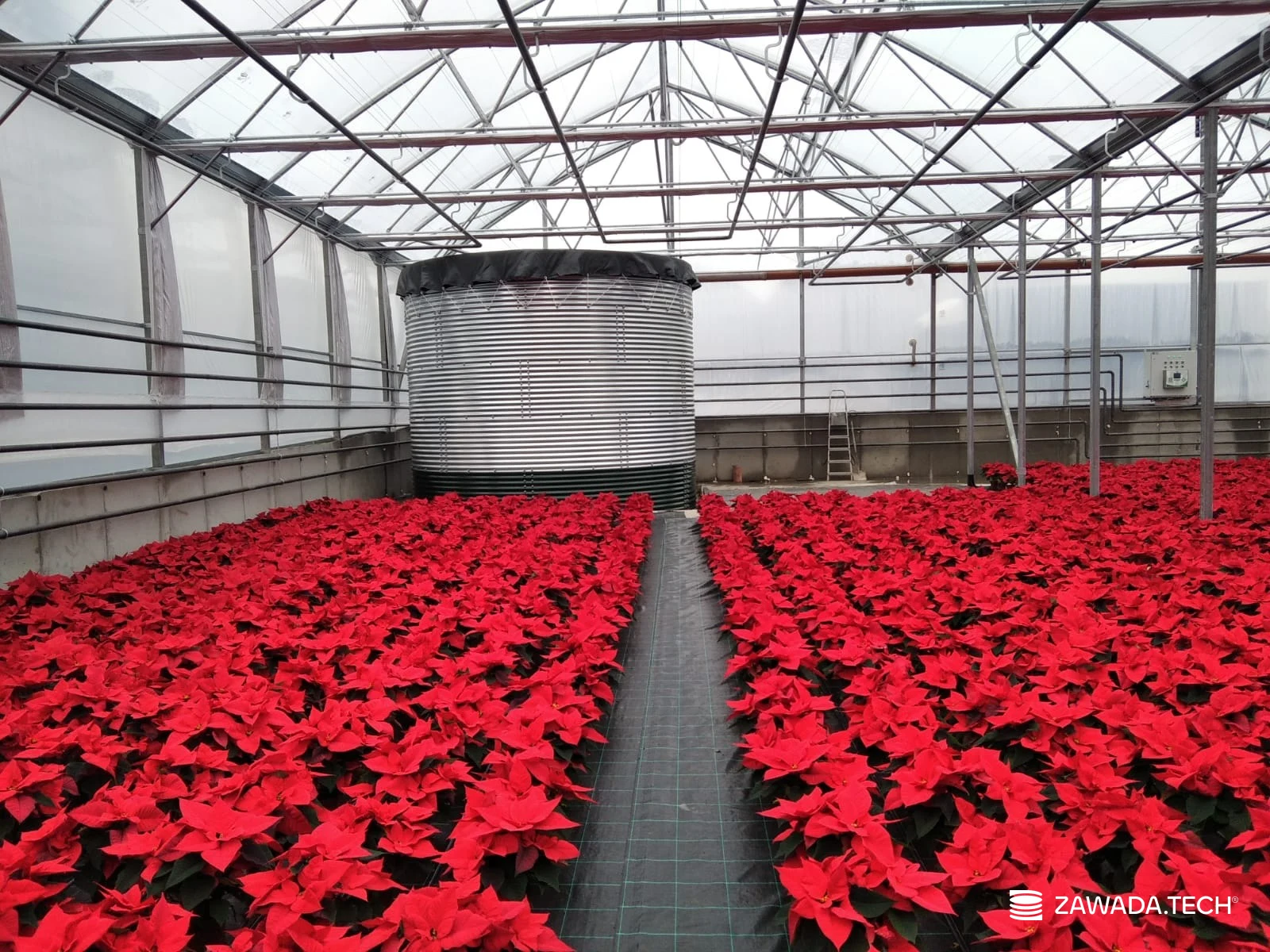 Typ zbiornika STANDARD, pojemność: 63 m3, woj. śląskie